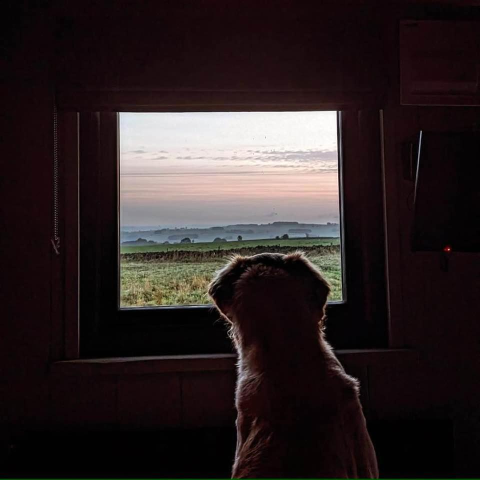 Luxury Shepherd Hut In The Peak District Bakewell Buitenkant foto